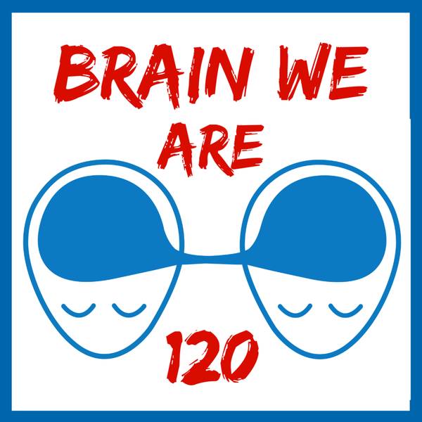 Brain We Are CZ